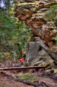 Cedar Falls Trail